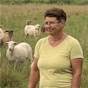 Lynnette Miller - GAMBASSA