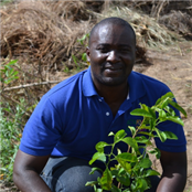 Jackson Buzingo - GAMBASSA