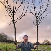 John Whittick  - GAMBASSA