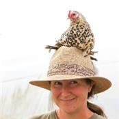 Daphne Du Cros - GAMBASSA