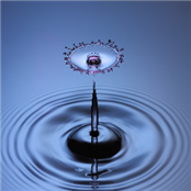Regenerative Water Alliance - GAMBASSA