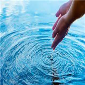 The Flow Partnership - GAMBASSA