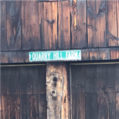 Old Quarry  Hills - GAMBASSA