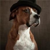 Environmental Advocates Demo - GAMBASSA