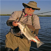 Fred Jennings - GAMBASSA