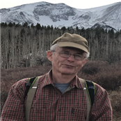 Hank Patton - GAMBASSA