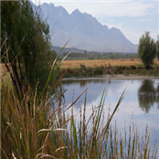 Aletta Venter - GAMBASSA