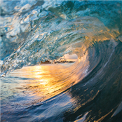 Regenerative Solutions - GAMBASSA