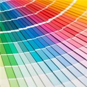 Test Account - GAMBASSA