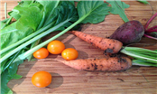 Foothills Farm Collective - GAMBASSA