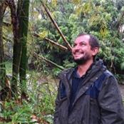 Daniel Mattos - GAMBASSA