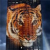 The Great Regeneration - GAMBASSA