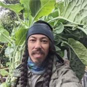 Nathan Lou - GAMBASSA