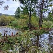 ThePivot Earth - GAMBASSA