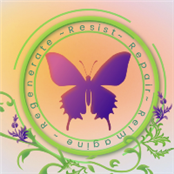 Transition US - GAMBASSA