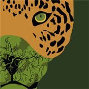 Amazon Sacred Headwaters Alliance - GAMBASSA