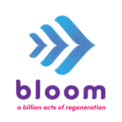 Bloom Network - GAMBASSA