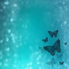 SampleButterfly-1715311195315.jpg