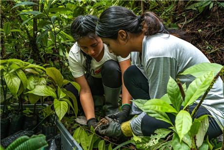 reforestation-first-image-17-1726298233060.jpeg