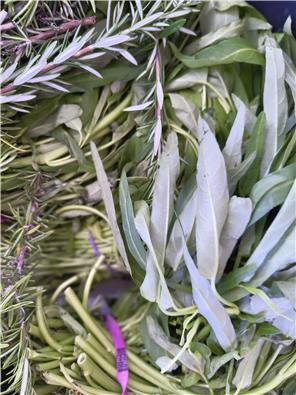 MFHherbs-1747634144551.jpg