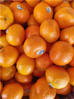 MFHmandarins-1747634198809.jpg
