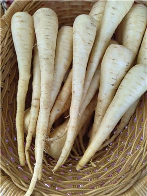 MFHparsnips-1747634300100.jpg
