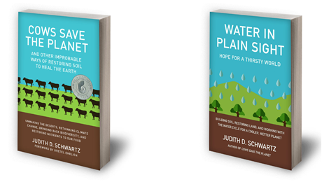 Judy-S-cows-and-water-books-1654040013790.png