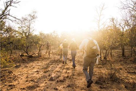 online-field-guiding-course-1724959583374.jpg