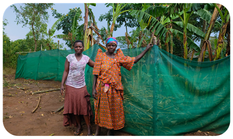 YICE-Uganda-2-1732553855600.png