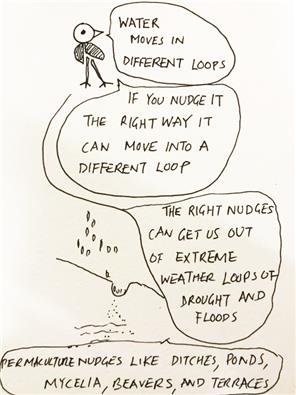 waterloop-edited-1642722856057.jpg