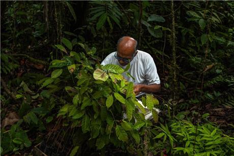 reforestation-pic-3-1724116296290.jpeg