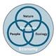 Regeneration Engine Enterprise Engine